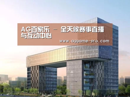 案例展示四