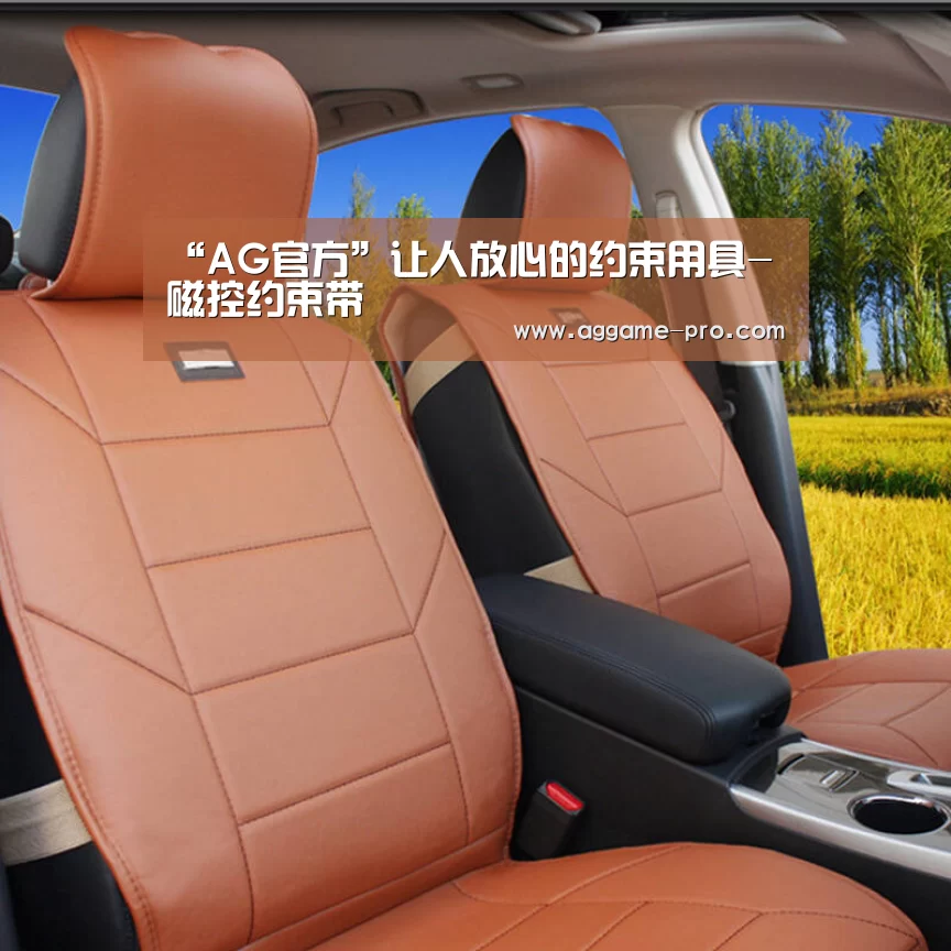 “AG官方”让人放心的约束用具-磁控约束带(图2) AG娱乐